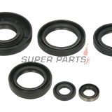Σετ τσιμουχών κινητήρα -WINDEROSA- Kawasaki Brute Force 750 2015-2024, Kawasaki KVF 750 2015-2022