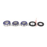 Σετ ρουλεμάν τροχού -ALL BALLS- Suzuki DR 250 1990-1995, DR 350 1990-1996, DR 650 1996-2017, XF 650 1997-2001