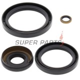 Κιτ επισκευής διαφορικού -ALL BALLS- Kawasaki KVF 360 2003-2013, KVF 650 2002-2003, 2005-2013, KVF 700 2004-2006, KVF 750 2005-2014, Suzuki LT-V 700 2004-2006