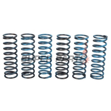 Σετ ελατηρίων συμπλέκτη -TRW- MEF313-6, BMW F650GS/Dakar, F700GS, F800GS/Adventure, F800R, F800S, F800ST, F800GT 2004-2018