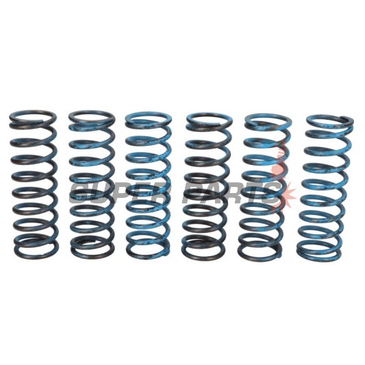 Σετ ελατηρίων συμπλέκτη -TRW- MEF313-6, BMW F650GS/Dakar, F700GS, F800GS/Adventure, F800R, F800S, F800ST, F800GT 2004-2018