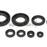 Σετ τσιμουχών κινητήρα -WINDEROSA- Honda SXS (Pioneer) 500 2015, Honda TRX 420 2007-2022, Honda TRX 500 2012-2018