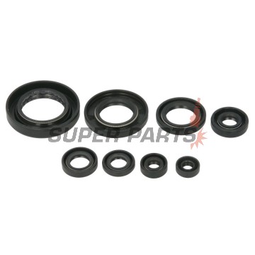 Σετ τσιμουχών κινητήρα -WINDEROSA- Honda SXS (Pioneer) 500 2015, Honda TRX 420 2007-2022, Honda TRX 500 2012-2018