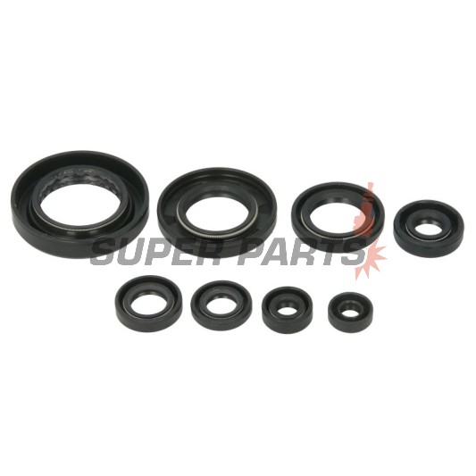 Σετ τσιμουχών κινητήρα -WINDEROSA- Honda SXS (Pioneer) 500 2015, Honda TRX 420 2007-2022, Honda TRX 500 2012-2018