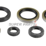 Σετ τσιμουχών κινητήρα -ATHENA- Husaberg TE 250/300 2011-2012, Husqvarna TC 250 2017, TE 250/300 2014-2016, KTM EXC 250/300 2004-2016, Freeride 250 2014-2017, MXC 300 2004-2007, SX 250 2003-2016, XC 250 2006-2018