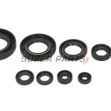 Σετ τσιμουχών κινητήρα -WINDEROSA- Honda TRX 420 2009-2022, Honda TRX 500 2015-2019, Honda TRX 520 2020-2022