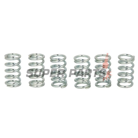 Σετ ελατηρίων συμπλέκτη -TRW- MEF107-6, Honda CB1100SF 2000-2003, Kawasaki EL250 Eliminator 1988-1995, ER-6F/N 2006-2012, GPX/GPZ/ZZR 600, KLE/Versys 650, KLR/KLX/KX/VN/Z/ZR/ZXR, Suzuki LT-A/LT-F Eiger/Vinson/Kingquad, RGV250/500 Gamma