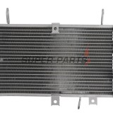 Ψυγείο -4 RIDE- Suzuki SFV 650 2009-2016
