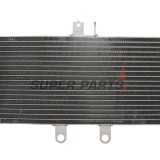 Ψυγείο -4 RIDE- Suzuki GSF 650 2007-2013