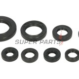 Σετ τσιμουχών κινητήρα -WINDEROSA- Honda TRX 250 2001-2021
