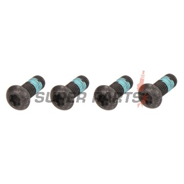 Βίδες δίσκου φρένου -TRW- MSS133-5, M8x1.25mm, 24.5mm, 5τεμ.