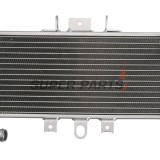 Ψυγείο -4 RIDE- Yamaha FZS 600 1998-2004