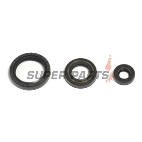 Σετ τσιμουχών κινητήρα -ATHENA- Husqvarna TC 250 2010-2014, TE 250 2010-2014, TE 310 2011-2014, TXC 250/310 2010-2014
