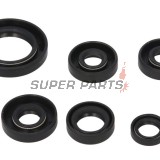 Σετ τσιμουχών κινητήρα -WINDEROSA- Can-Am DS 650 2000-2007