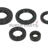 Σετ τσιμουχών κινητήρα -WINDEROSA- Arctic Cat Arctic Cat 650 2005-2011, Arctic Cat TRV 650 2007-2008