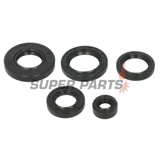 Σετ τσιμουχών κινητήρα -WINDEROSA- Arctic Cat Arctic Cat 650 2005-2011, Arctic Cat TRV 650 2007-2008
