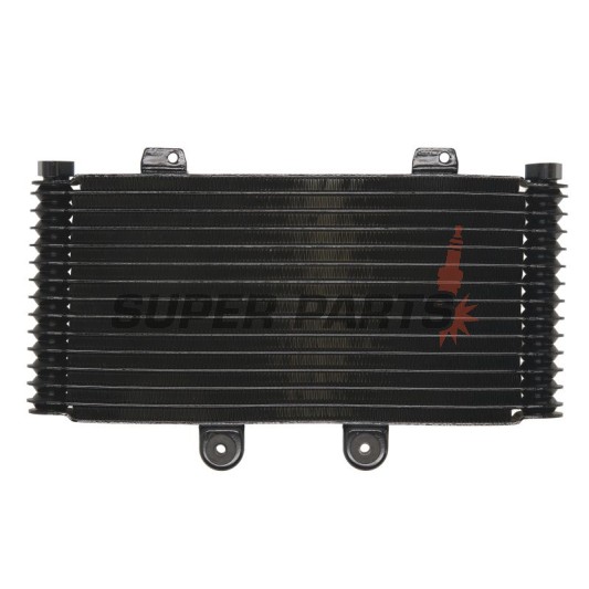 Ψυγείο -4 RIDE- Suzuki GSF 1200 2001-2006