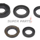 Σετ τσιμουχών κινητήρα -WINDEROSA- Arctic Cat Cat 90 2006, Arctic Cat Y-6 50 2004-2006
