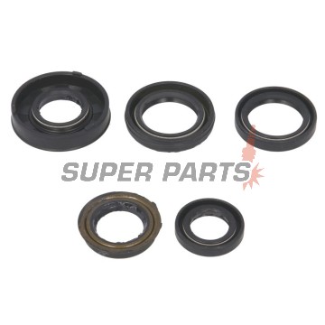 Σετ τσιμουχών κινητήρα -WINDEROSA- Arctic Cat Cat 90 2006, Arctic Cat Y-6 50 2004-2006