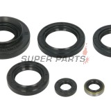 Σετ τσιμουχών κινητήρα -WINDEROSA- Kawasaki Brute Force 750 2012-2014, Kawasaki KRF 750 2013, Kawasaki KVF 750 2012-2014