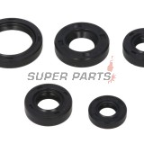 Σετ τσιμουχών κινητήρα -WINDEROSA- Kawasaki KLF 300 1986-2005, Kawasaki KLF 400 1997