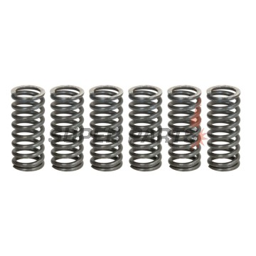 Σετ ελατηρίων συμπλέκτη -TRW- MEF162-6, Yamaha FZS Fazer 600 (2000-2003), SRX 400 (1990-1996), WR250R/X (2008-2016), XJ 650 (1980-1985), XJR 400 (1993-1999), XV Virago 750 (1992-1998), YZF 600R Thunder Cat (1996-2002)