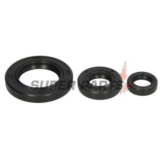 Σετ τσιμουχών κινητήρα -WINDEROSA- Yamaha XT 250 2008-2024, Yamaha YFM 250 2008-2013