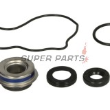 Κιτ επισκευής αντλίας νερού -WINDEROSA- Honda Big Red 700 2009-2013, Honda SXS (Pioneer) 700 2014-2016, Honda TRX 650 2003-2005, Honda TRX 680 2006-2020