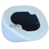 Φίλτρο αέρα -ATHENA- S410250200028, Kawasaki KLX 450 2008-2020
