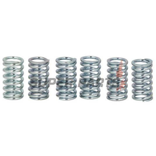 Σετ ελατηρίων συμπλέκτη -TRW- MEF141-6, Honda CG125 (1985-2008), CR500 (1990-2001), CX500/Custom/Euro Sports, GL500 Silverwing, NX125 Transcity, XR125L/Kawasaki BN125 Eliminator, KX80/85/100/Suzuki RM100 (2003-2008)