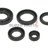 Σετ τσιμουχών κινητήρα -WINDEROSA- Arctic Cat Arctic Cat 650 2005-2011, Arctic Cat TRV 650 2007-2008