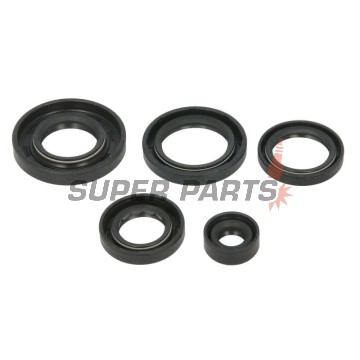 Σετ τσιμουχών κινητήρα -WINDEROSA- Arctic Cat Arctic Cat 650 2005-2011, Arctic Cat TRV 650 2007-2008