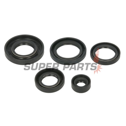 Σετ τσιμουχών κινητήρα -WINDEROSA- Arctic Cat Arctic Cat 650 2005-2011, Arctic Cat TRV 650 2007-2008
