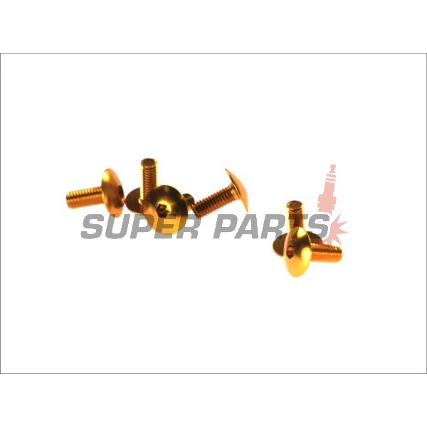 Σετ βιδών -VICMA- M6x15mm, χρυσά, 6τεμ.
