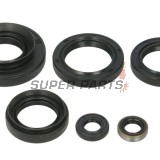 Σετ τσιμουχών κινητήρα -WINDEROSA- Kawasaki Brute Force 750 2015-2024, Kawasaki KVF 750 2015-2022