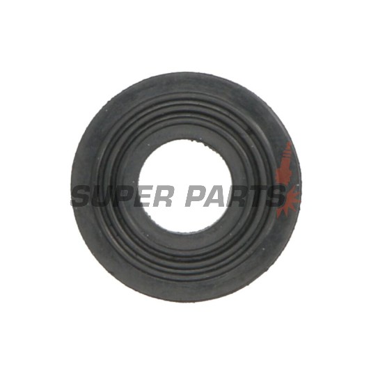 Στεγανοποίηση -ATHENA- KTM Duke 125 2011-2015