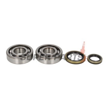 Σετ ρουλεμάν και τσιμουχών στροφάλου -ALL BALLS- Suzuki RM 250 1996-2002
